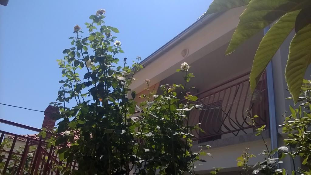 Apartment Cvita Biograd Na Moru Pokój zdjęcie