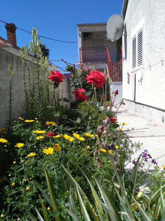 Apartment Cvita Biograd Na Moru Zewnętrze zdjęcie